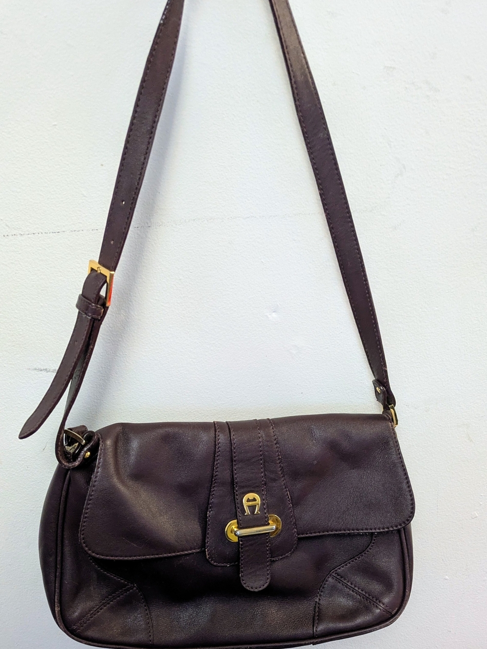 Aigner Etienne Aigner Oxford Blood Leather Crossbody Bag with Gold Hardware